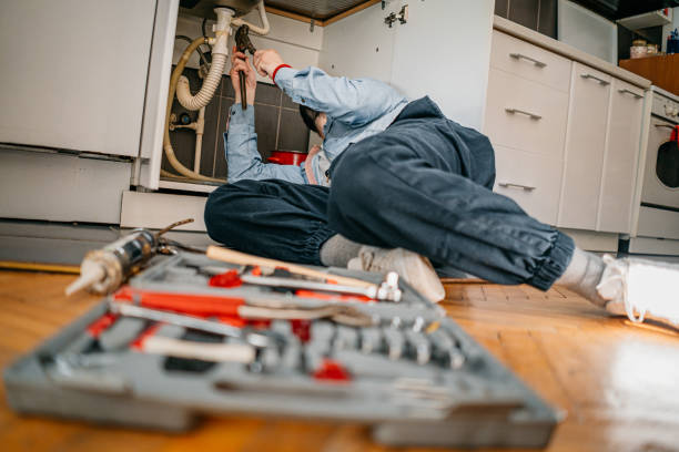 Best Clogged Drain Plumber  in Candlewick Lake, IL