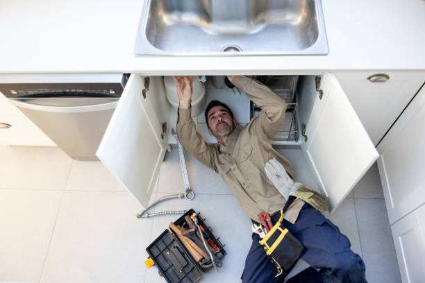 Best Affordable Plumbing Services  in Candlewick Lake, IL