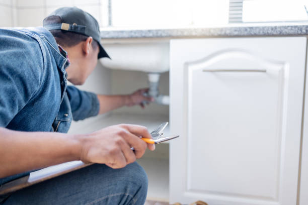 Best Commercial Plumbing Services  in Candlewick Lake, IL