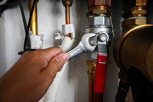 Best Toilet Repair Services  in Candlewick Lake, IL
